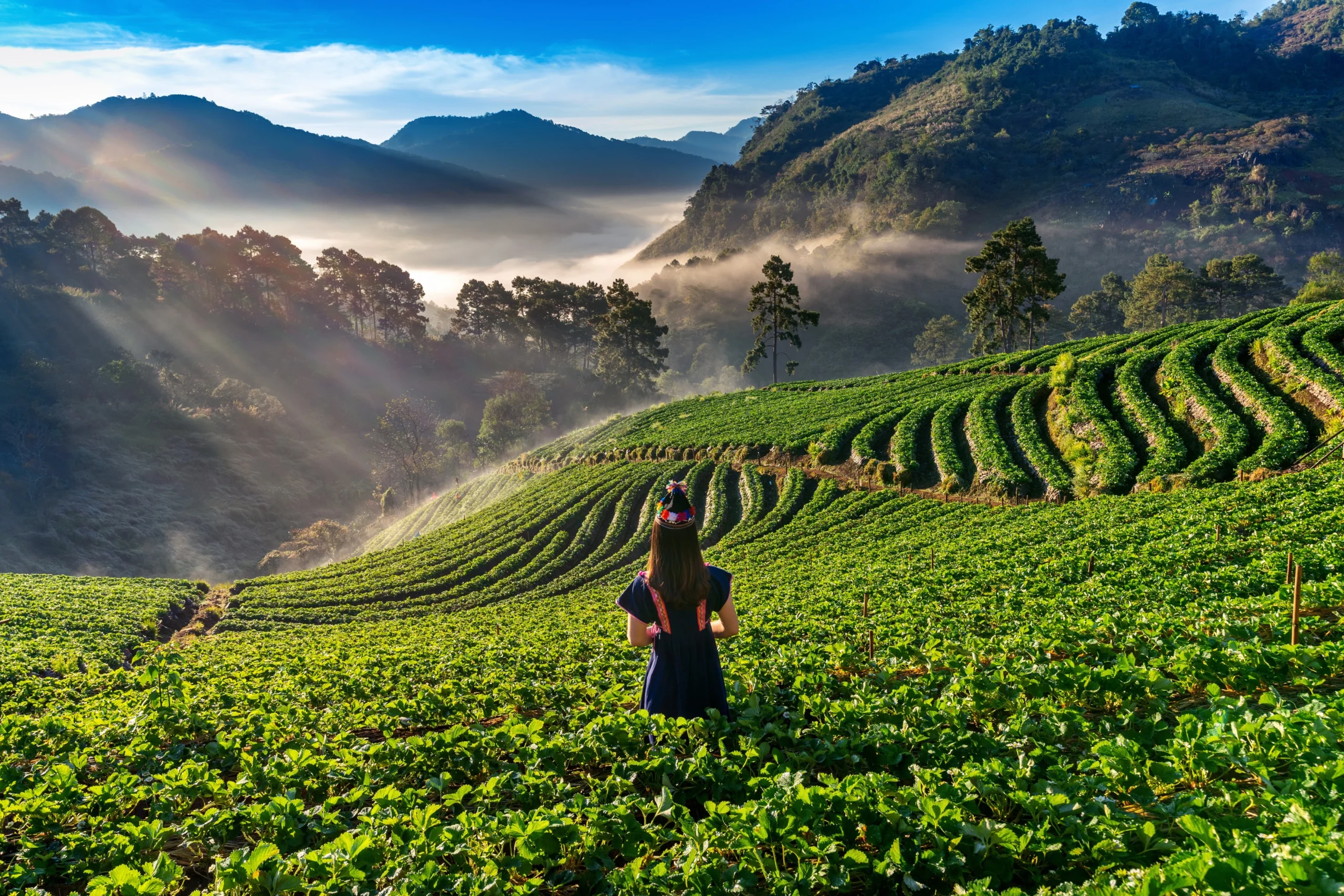 Darjeeling Package (5 Days / 4 Nights)
